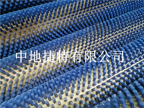 毛刷去皮机-莲藕清洗机