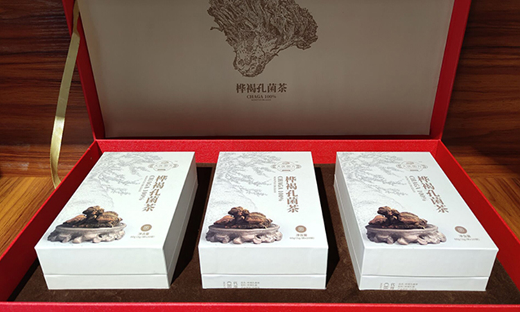 桦树茸生产厂家桦褐孔菌OEM贴牌加工