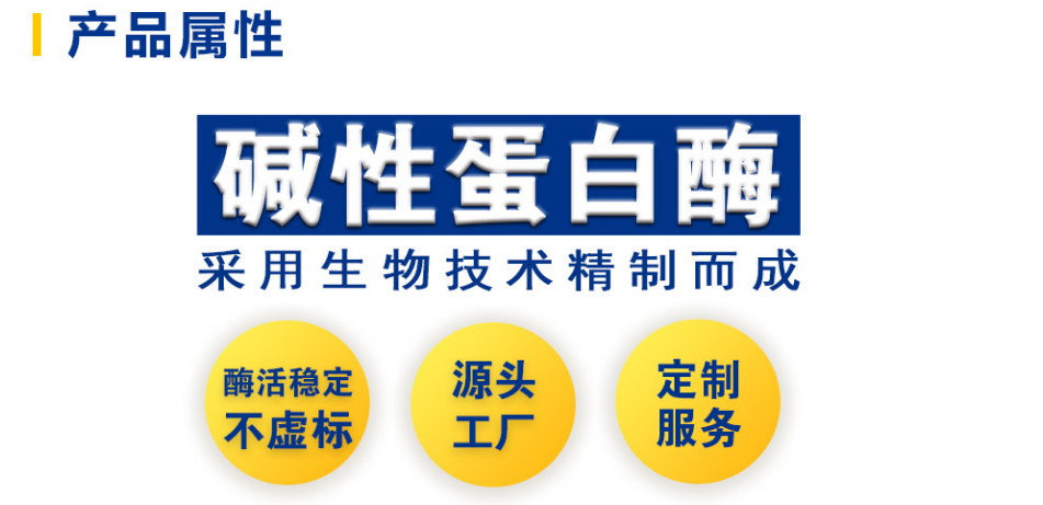 东恒华道厂家食品级20万碱性蛋白酶 地衣芽孢杆菌2709蛋白酶