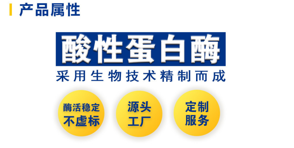 东恒华道食品级5万u/g酸性蛋白酶 酱油发酵酿造酶制剂 537蛋白酶