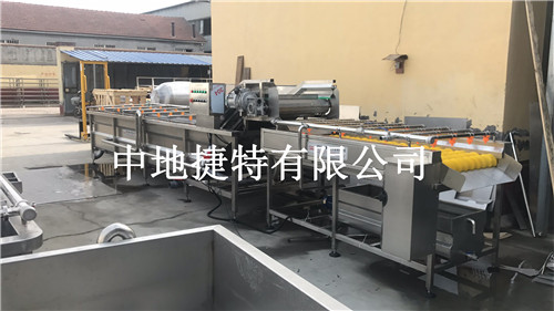 果蔬清洗机-商用芸豆气泡清洗机